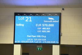 Lot 21 Pied Piper - Purchased for €570,000 by Windgates Stud