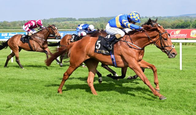 Sea The Boss winning the Group 3 Jannah Rose Stakes at Naas. 