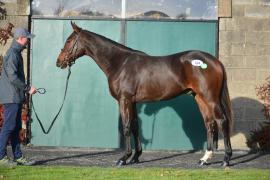 Lot  124 Soldier Of Fortune
