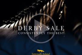 Tatts Ireland  2022  Derby Sale  Entries  Play Now