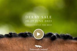 Tatts Ireland  2023  Play Now Derby Front2