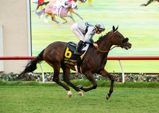 Bellabel winning the Gr.2 San Clemente Stakes at Del Mar 