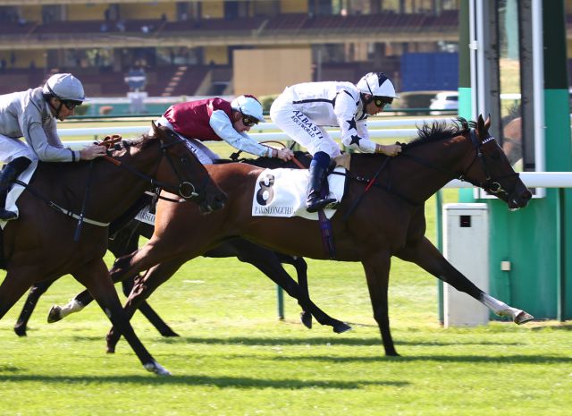  CORAZON winning at Longchamp 