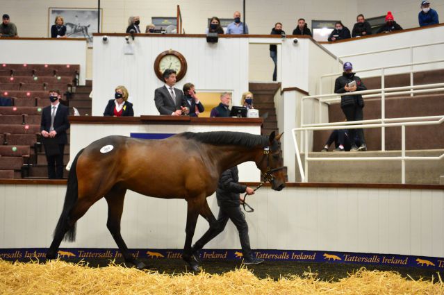 Lot 289 selling for €280,000