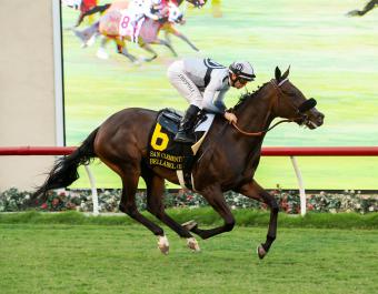 Bellabel winning the Gr.2 San Clemente Stakes at Del Mar