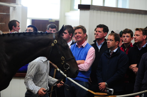 Lot 50 Saddler Maker 11